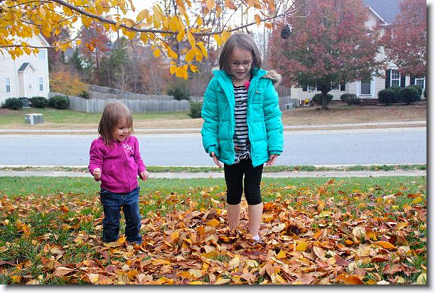 Click for the original image