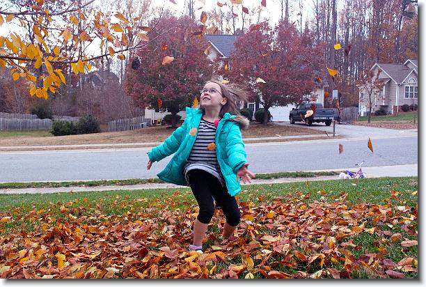 Click for the original image