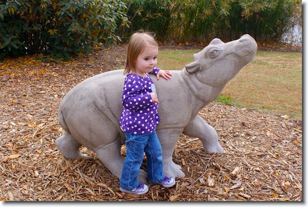 Click for the original image