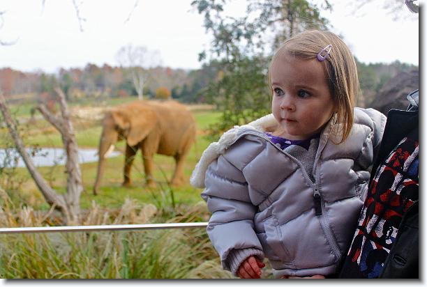 Click for the original image