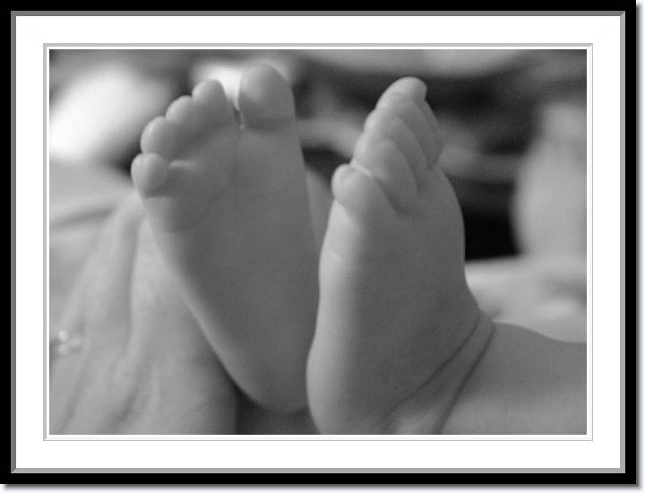 Click for the original image