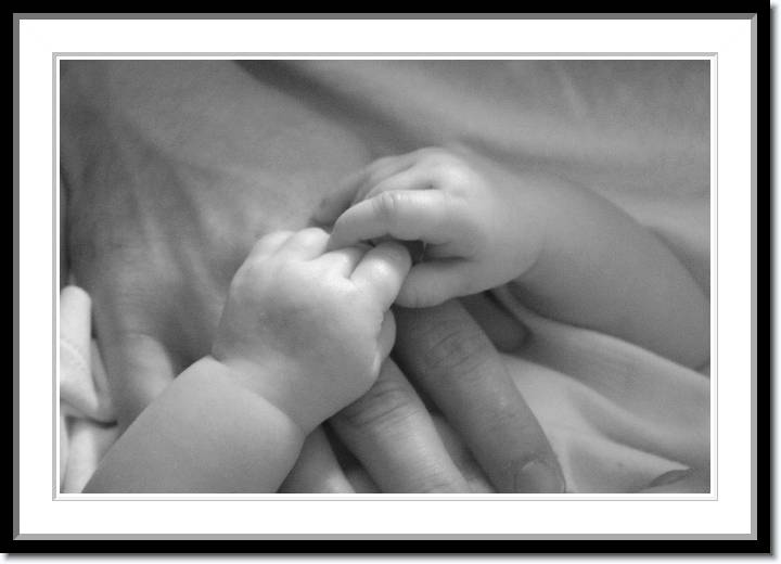 Click for the original image