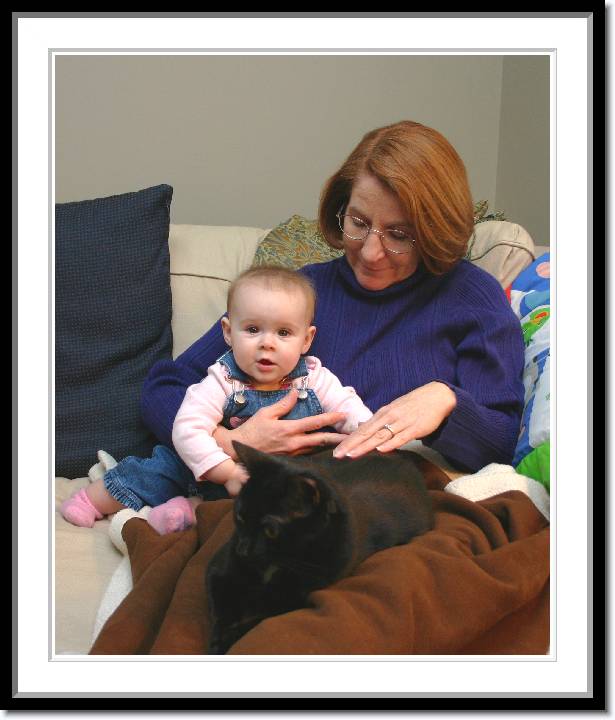 Click for the original image