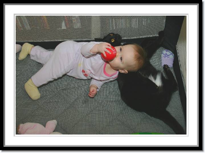 Click for the original image