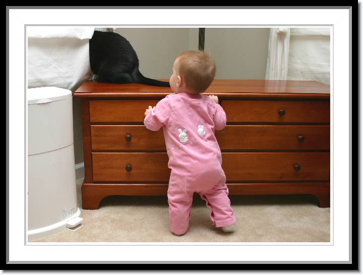 Click for the original image