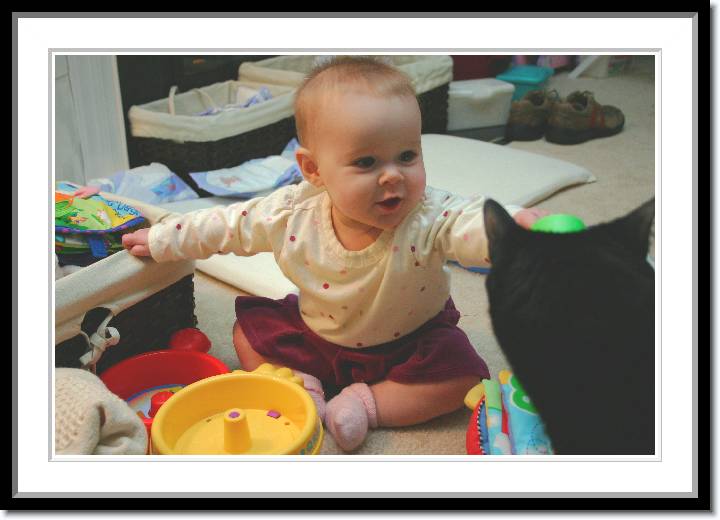 Click for the original image