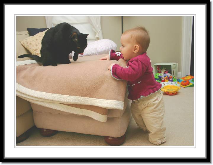 Click for the original image