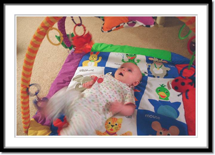 Click for the original image