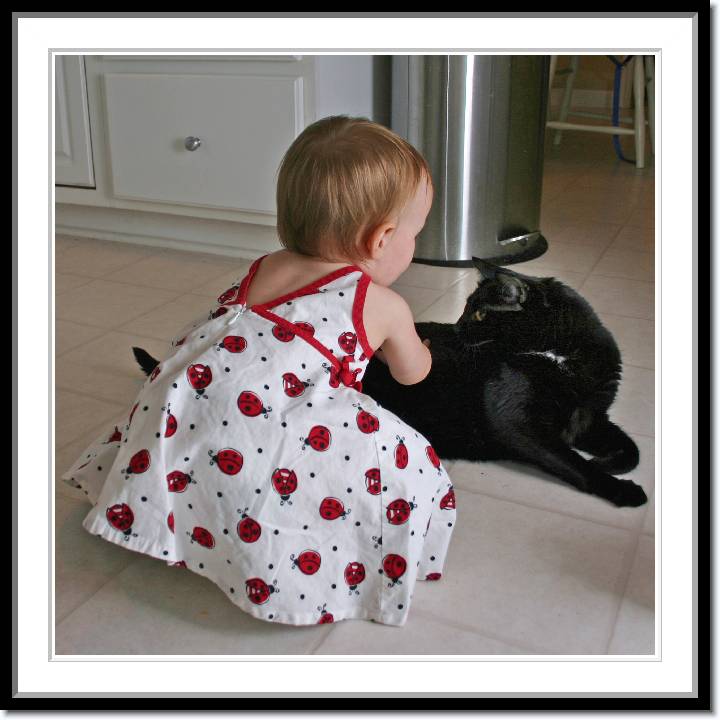 Click for the original image