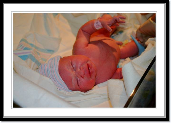 Click for the original image