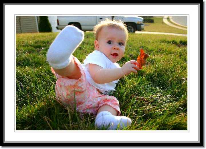 Click for the original image