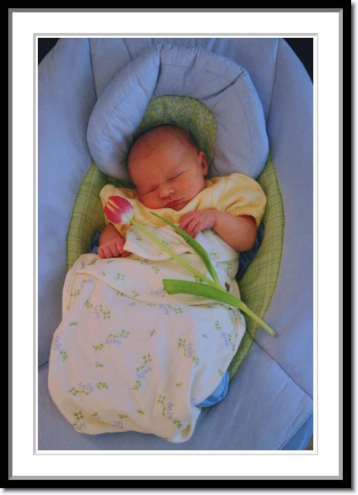 Click for the original image