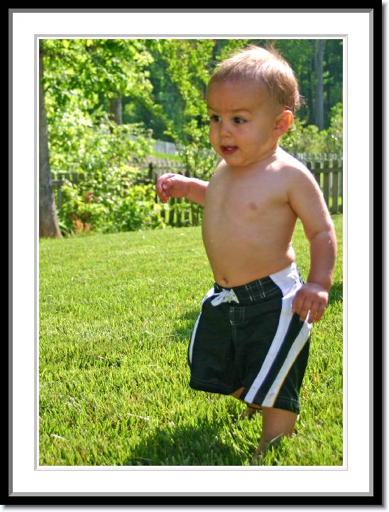 Click for the original image