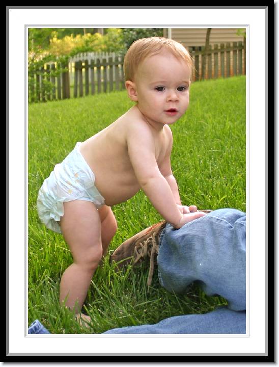 Click for the original image