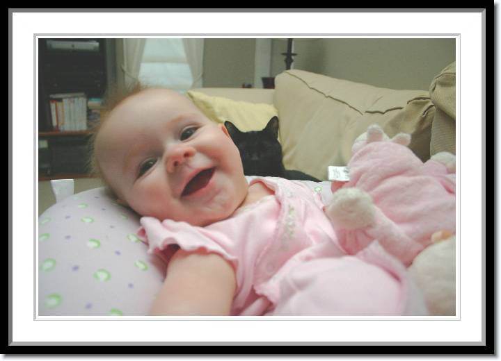 Click for the original image