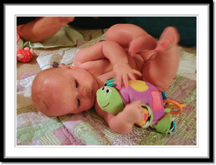 Click for the original image