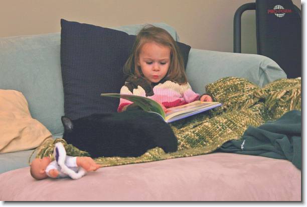 Click for the original image