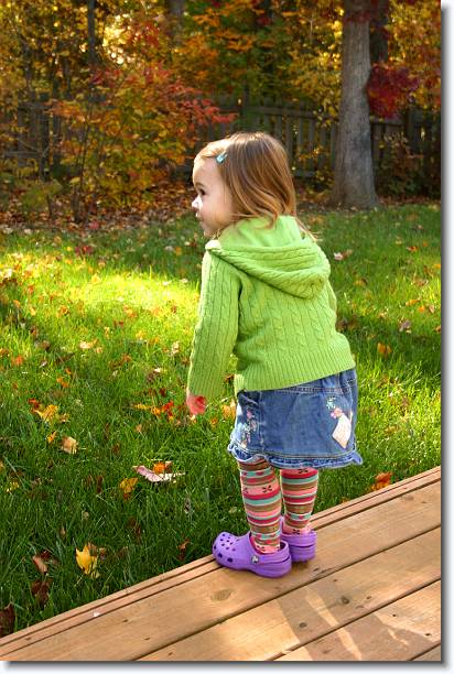 Click for the original image