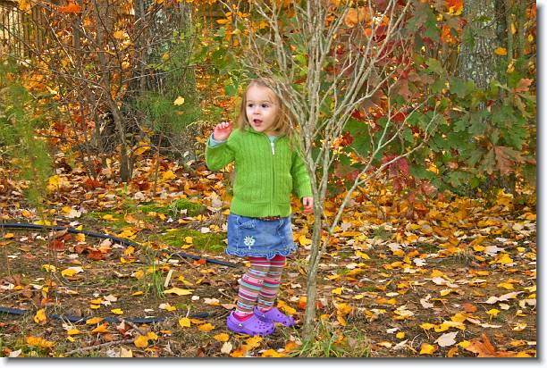 Click for the original image