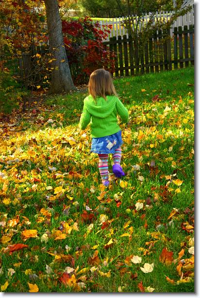 Click for the original image