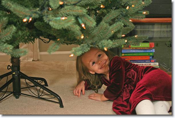 Click for the original image