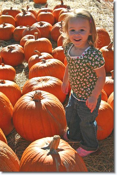 Click for the original image