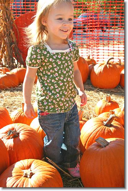 Click for the original image