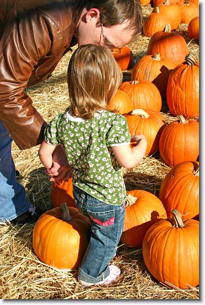 Click for the original image