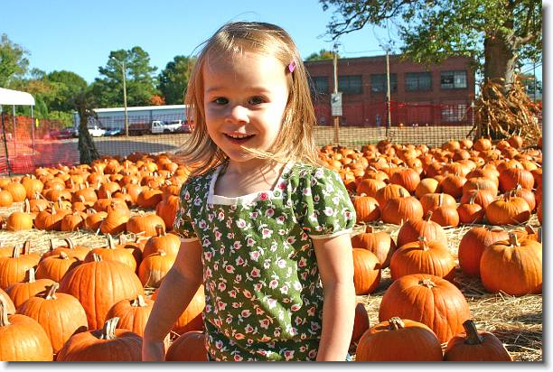 Click for the original image