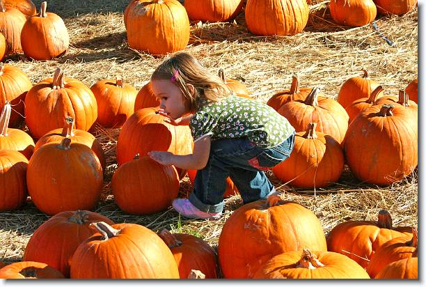 Click for the original image